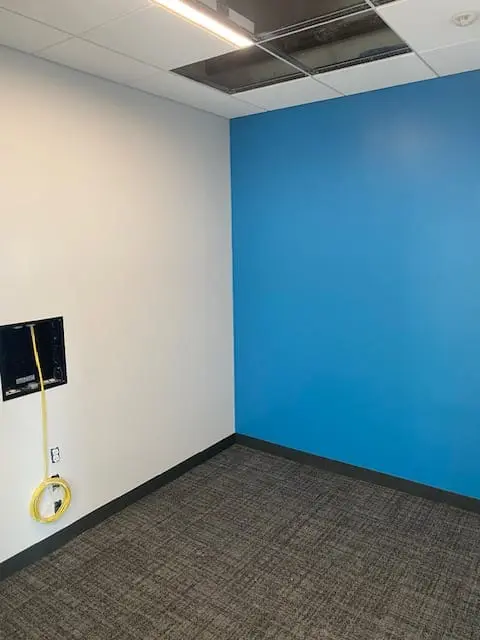 Blue feature wall in a commercial office